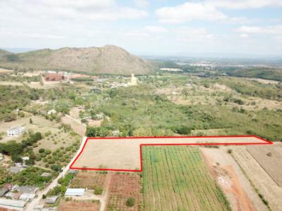 For SaleLandPak Chong KhaoYai : Land for sale in Khao Yai, Mu Si Subdistrict, Pak Chong District, 12 rai, just seeing the view is already happy.
