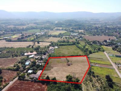 For SaleLandPak Chong KhaoYai : Land for sale in Khao Yai, Mu Si Subdistrict, Pak Chong District, 12 rai, see the mountains, very beautiful
