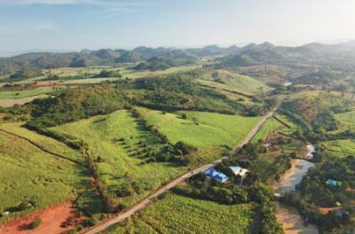 For SaleLandPak Chong KhaoYai : Land for sale in Khao Yai, Wang Kata Subdistrict, Pak Chong District, 30 rai, on a hill, beautiful view, good road.