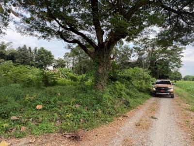 For SaleLandKanchanaburi : Land for sale next to the Kwai Noi River, peaceful atmosphere, 2 rai 10 square meters, Kanchanaburi Province