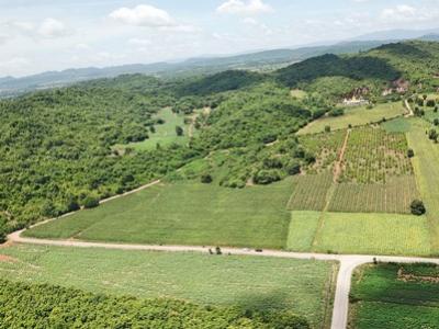 For SaleLandPak Chong KhaoYai : Land for sale in Khao Yai, Wang Sai Subdistrict, Pak Chong District, 50 rai