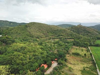 For SaleLandPak Chong KhaoYai : Land for sale in Khao Yai, Khanong Phra Subdistrict, Pak Chong District, 22 rai. The land is on the