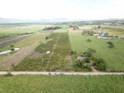For SaleLandPak Chong KhaoYai : Land for sale in Khao Yai, Wang Sai Subdistrict, Pak Chong District, 9 Rai, very beautiful view.