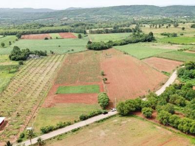 For SaleLandPak Chong KhaoYai : Land for sale in Khao Yai, Wang Sai Subdistrict, Pak Chong District, 14 rai, very nice view