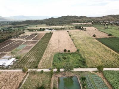 For SaleLandPak Chong KhaoYai : Land for sale in Khao Yai, Wang Sai Subdistrict, Pak Chong District, 17 rai. The view is very beauti
