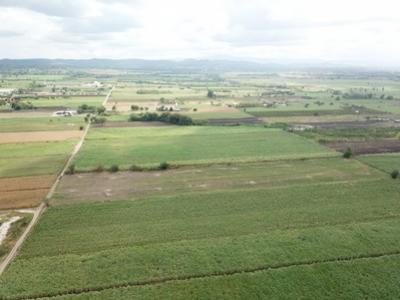 For SaleLandPak Chong KhaoYai : Land for sale in Khao Yai, Wang Sai Subdistrict, Pak Chong District, 18 Rai 2 Plots, View, very beau