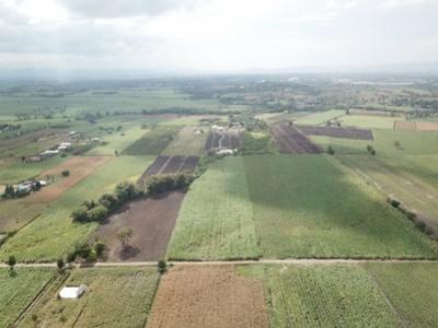 For SaleLandPak Chong KhaoYai : Land for sale in Khao Yai, Wang Sai Subdistrict, Pak Chong District, 18 rai, View, very beautiful.
