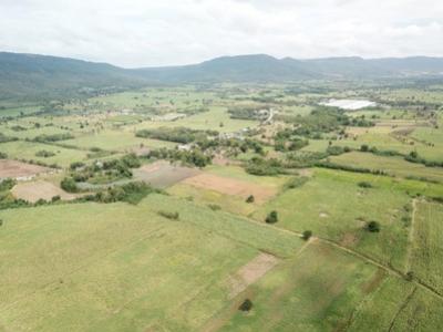 For SaleLandPak Chong KhaoYai : Land for sale in Khao Yai, Wang Sai Subdistrict, Pak Chong District, 32 rai. The view is very beauti