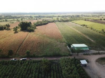 For SaleLandPak Chong KhaoYai : Land for sale in Khao Yai, Wang Sai Subdistrict, Pak Chong District, 32 rai. The view is very beauti