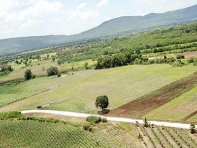 For SaleLandPak Chong KhaoYai : Land for sale in Khao Yai, Wang Sai Subdistrict, Pak Chong District, 35 rai, very nice view