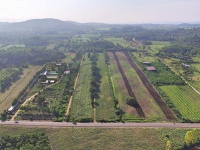 For SaleLandPak Chong KhaoYai : Land for sale in Khao Yai, Wang Sai Subdistrict, Pak Chong District, 50 rai. The land is on the hill