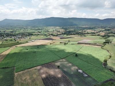 For SaleLandPak Chong KhaoYai : Land for sale in Khao Yai, Wang Sai Subdistrict, Pak Chong District, 240 rai, mountain view, very ni