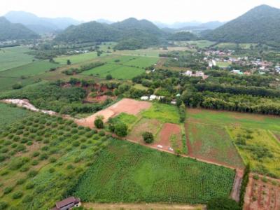 For SaleLandPak Chong KhaoYai : Land for sale in Khao Yai, Nong Nam Daeng Subdistrict, Pak Chong District, 2.5 rai, very beautiful mountain view.