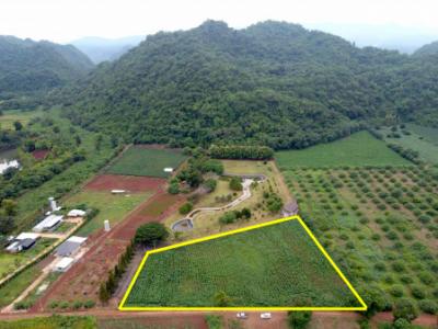 For SaleLandPak Chong KhaoYai : Land for sale in Khao Yai, Nong Nam Daeng Subdistrict, Pak Chong District, 1.5 rai, very beautiful mountain view.