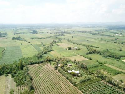 For SaleLandPak Chong KhaoYai : Khao Yai land for sale, Wang Sai sub-district, Pak Chong district, 3 rai is the cheapest in this are