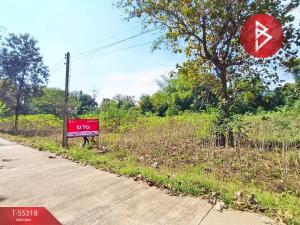 For SaleLandKamphaeng Phet : Quick sale of agricultural land 2 rai 1 ngan 90 square wah, Don Taeng, Kamphaeng Phet.