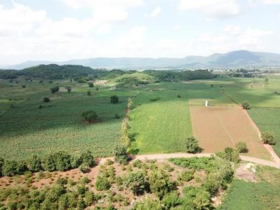 For SaleLandPak Chong KhaoYai : P Land for sale in Khao Yai, Wang Sai sub-district_, Pak Chong district_, 19 rai, very beautiful view.