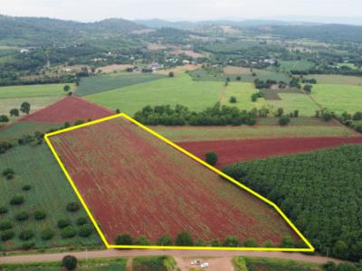 For SaleLandPak Chong KhaoYai : Land for sale in Khao Yai, Khanong Phra Subdistrict, Pak Chong District, 30 rai, see the mountains, very beautiful