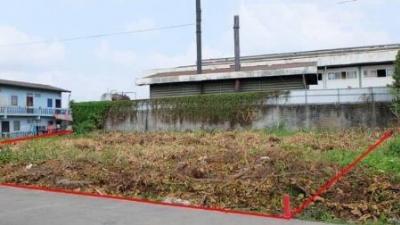 For SaleLandRathburana, Suksawat : Land for sale, land, Suksawat 84, Wat Khu Sang, 231 sq m, beautiful land, purple layout.