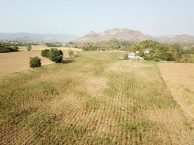 For SaleLandPak Chong KhaoYai : P Land for sale in Khao Yai, Mu Si Sub-district_, Pak Chong district_, 50 rai, very beautiful view.
