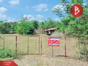 For SaleLandSurin : Urgent sale of land, area 4 rai 1 ngan 16 square wah, outside the city of Surin.