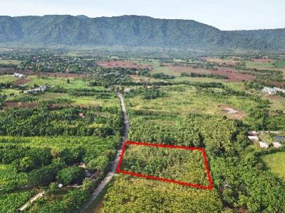 For SaleLandPak Chong KhaoYai : P Land for sale in Khao Yai, Mu Si Sub-district_, Pak Chong district_, 5 rai. Very beautiful mountain