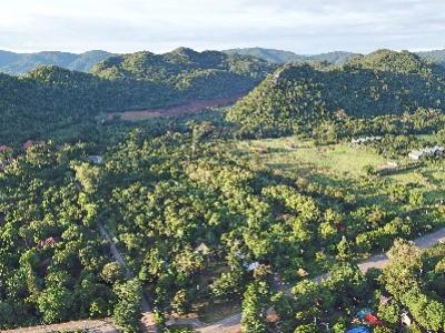 For SaleLandPak Chong KhaoYai : P Land for sale in Khao Yai, Mu Si Subdistrict_, Pak Chong district_, 40 rai, next to the canal, with