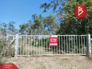 For SaleLandSurin : Urgent sale of vacant land, area 4 rai 18.0 square wah, Mueang Surin District, Surin Province.