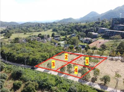 For SaleLandPak Chong KhaoYai : Land for sale in Khao Yai, Nong Nam Daeng Subdistrict, Pak Chong District, 2 jobs, the best location in this area.