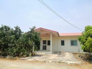 For SaleHouseAng Thong : House for sale with a mango plantation, land 247 sq m.