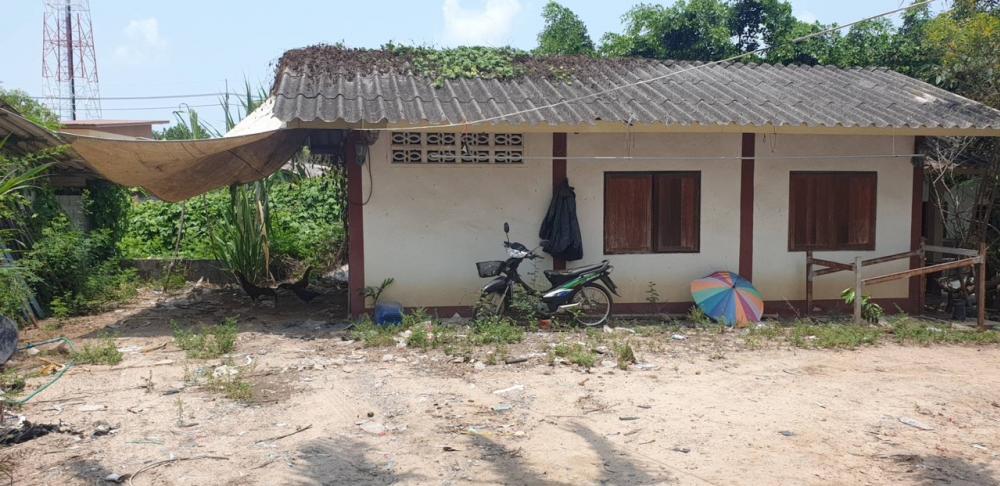 For SaleLandKoh Samui, Surat Thani : ขายที่ดินสมุย 1 ไร่พร้อมบ้านไม้ 2ชั้น 1 หลังและห้องแถว 2 ห้องในที่ดินเดียวกัน