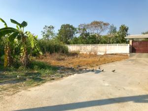 ขายที่ดินนครปฐม พุทธมณฑล ศาลายา : ที่ดินเปล่ายังไม่ถม 862 ตรว.ย่านถนนกาญจนาภิเษก เข้าซอยไปเพียง 800 เมตร แปลงสวย อยู่ใกล้ๆสมาคมชาวปักษ์ใต้