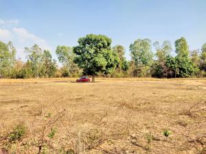 For SaleLandUbon Ratchathani : Land for sale, Sirindhorn District, Ubon Ratchathani Province