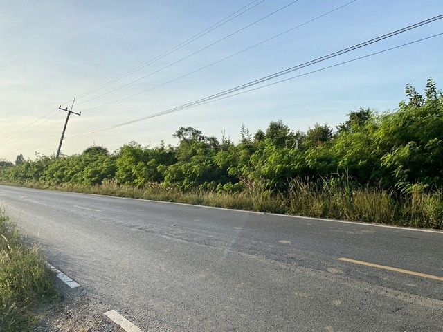 For SaleLandAyutthaya : Land 8 rai 3 ngan 84 square wah, next to Ori 2022 Road, Phachi District, Phra Nakhon Si Ayutthaya Province.