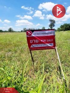 For SaleLandLop Buri : Land for sale, area 4 rai 1 ngan 69 square wah, Sa Bot Subdistrict, Lopburi