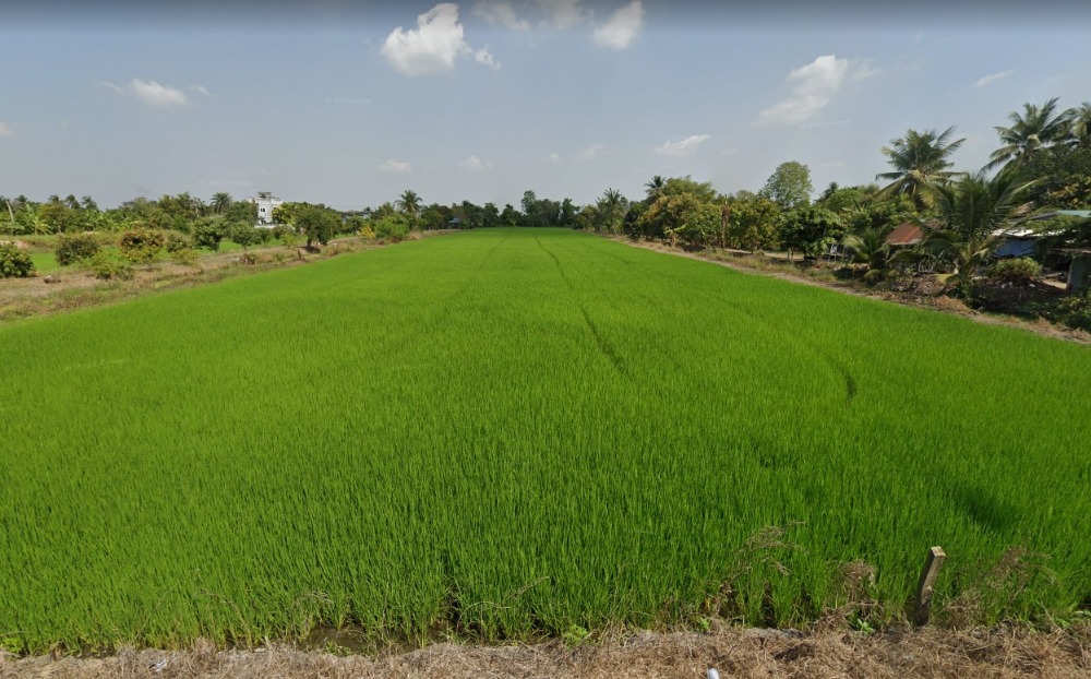 For SaleLandPathum Thani,Rangsit, Thammasat : Bo Ngern land for sale Lat Lum Kaew District The back is next to Khlong Bang Luang.