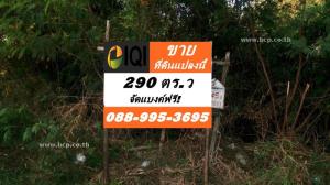For SaleLandRathburana, Suksawat : Land for sale in Soi Pracha Uthit 90 Intersection 2