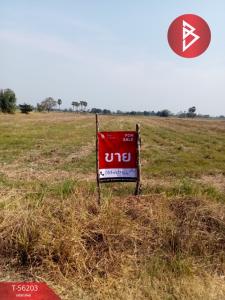 For SaleLandNakhon Sawan : Land for sale, area 46 rai 1 ngan 68.0 square wah, Phayuha Khiri, Nakhon Sawan
