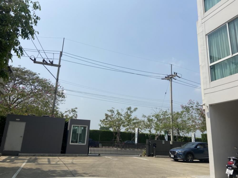 For RentCondoNakhon Pathom, Phutthamonthon, Salaya : Condo for rent