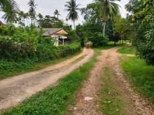 For SaleLandKoh Samui, Surat Thani : Land for sale 1 rai 3 ngan 63 square wah, near Tawirat Phakdi Road, Maenam , Koh Samui , Surat Thani