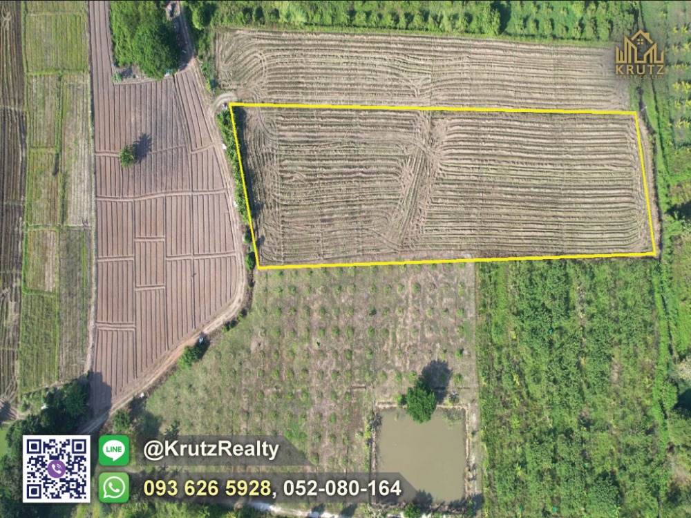 For SaleLandLamphun : Land for sale, area 4 rai 1 ngan 56 square wah, spacious area, good atmosphere, natural, with mine water flowing to use For agriculture and gardening throughout the year, Ban Paen Subdistrict, Mueang Lamphun District, Lamphun Province