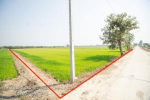 ขายที่ดินสุพรรณบุรี : ขาย ที่ดิน ติดถนนคอนกรีต ใกล้ รพ.สามชุก สุพรรณบุรี ติดทางสาธารณะ 2 ด้าน