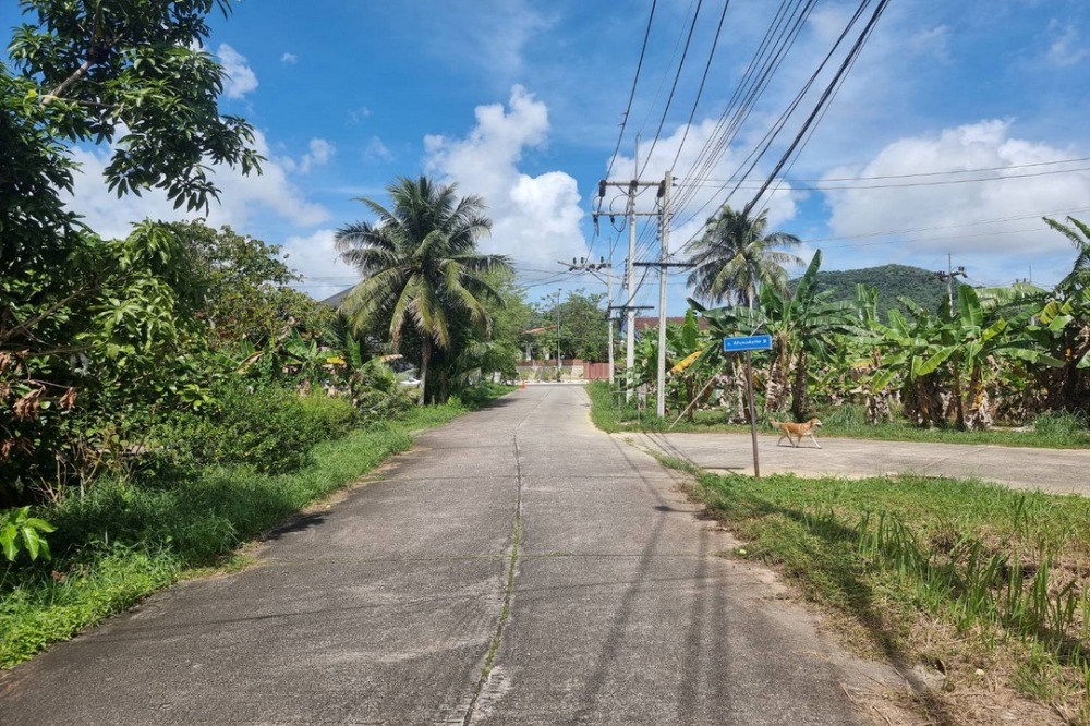 ขายที่ดินหาดใหญ่ สงขลา : ที่ดินเกาะยอ 372 ตร.วา ทำเลดีใกล้ทะเล ย่านชุมชนเหมาะสร้างบ้าน ตำบลเกาะยอ อ.เมืองสงขลา
