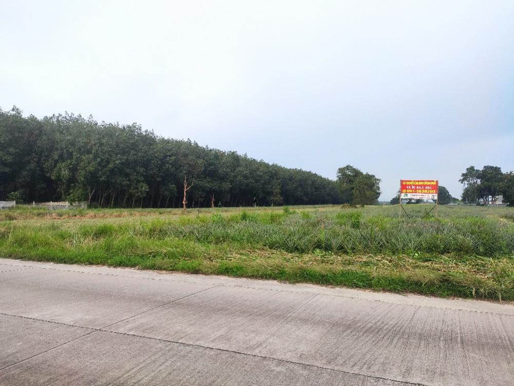 For SaleLandRayong : Land for sale in Mae Nam Khu Soi 4, Pluak Daeng, Rayong Province #EEC area
