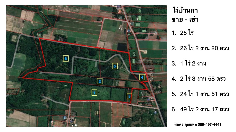 For SaleLandRatchaburi : Land for sale, organic farming forest for building a resort.
