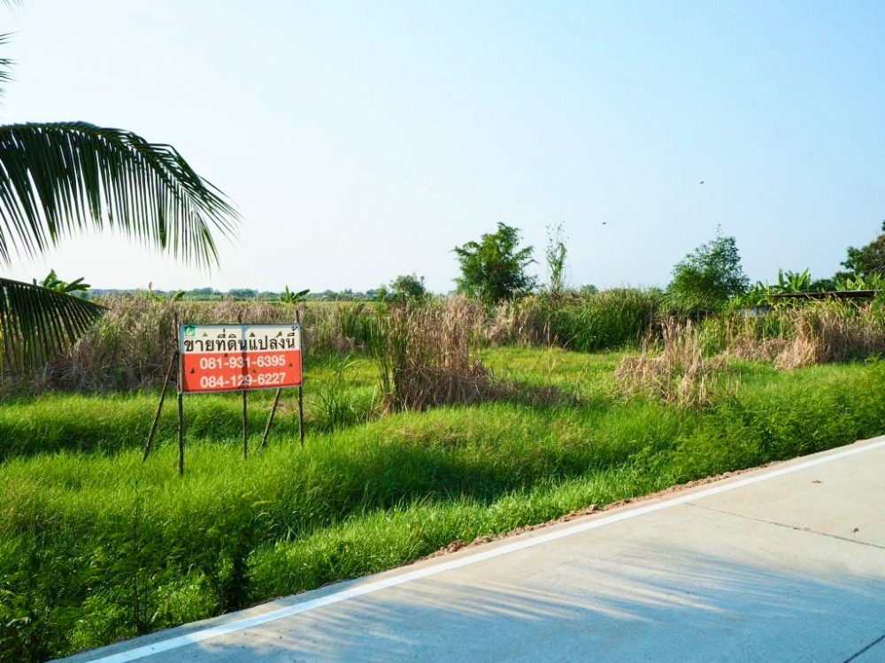 For SaleLandPathum Thani,Rangsit, Thammasat : Land for sale in Bang Luang, Pathum Thani near Ratchaphruek Road. and near the entrance to Wat Rat Sattha Tham School, Bang Luang Subdistrict, Mueang Pathum Thani District Pathum Thani Province