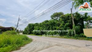 For SaleLandPattaya, Bangsaen, Chonburi : Land on Ang Sila Road, Soi Sathaphon, Chonburi Province