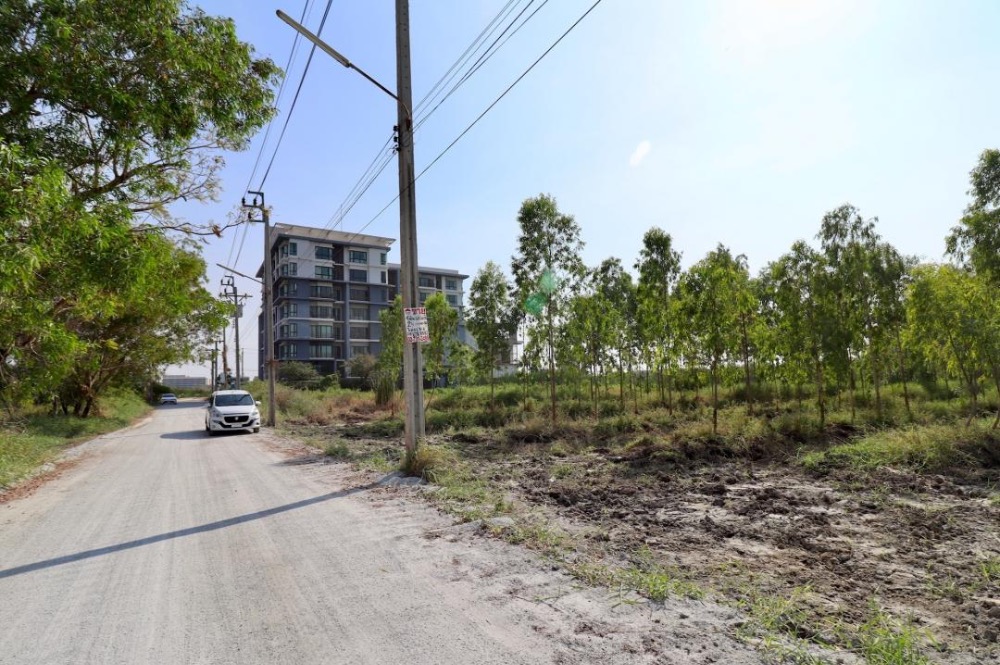 For SaleLandBangna, Bearing, Lasalle : Land for sale, on Bangna-Trad Road, area 2 rai, near ABAC only 700 meters. Suitable for building a dormitory, CONDO, at the entrance of the alley, there is a MK Suki. Enter the alley for only 400 meters.