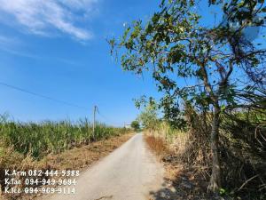 ขายที่ดินนครปฐม พุทธมณฑล ศาลายา : ขายที่ดินนครชัยศรี ใกล้ถนนใหญ่