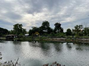 For SaleLandPathum Thani,Rangsit, Thammasat : Land next to Khlong Rangsit, 8 minutes to the Green Line Khu Khot Station.